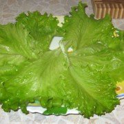 Салат цезарь с курицей, сухариками и майонезом шаг 7 Салат цезарь с курицей, сухариками и майонезом шаг 7