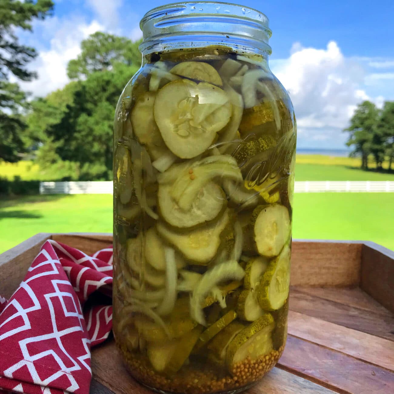 Резаные маринованные огурцы с луком